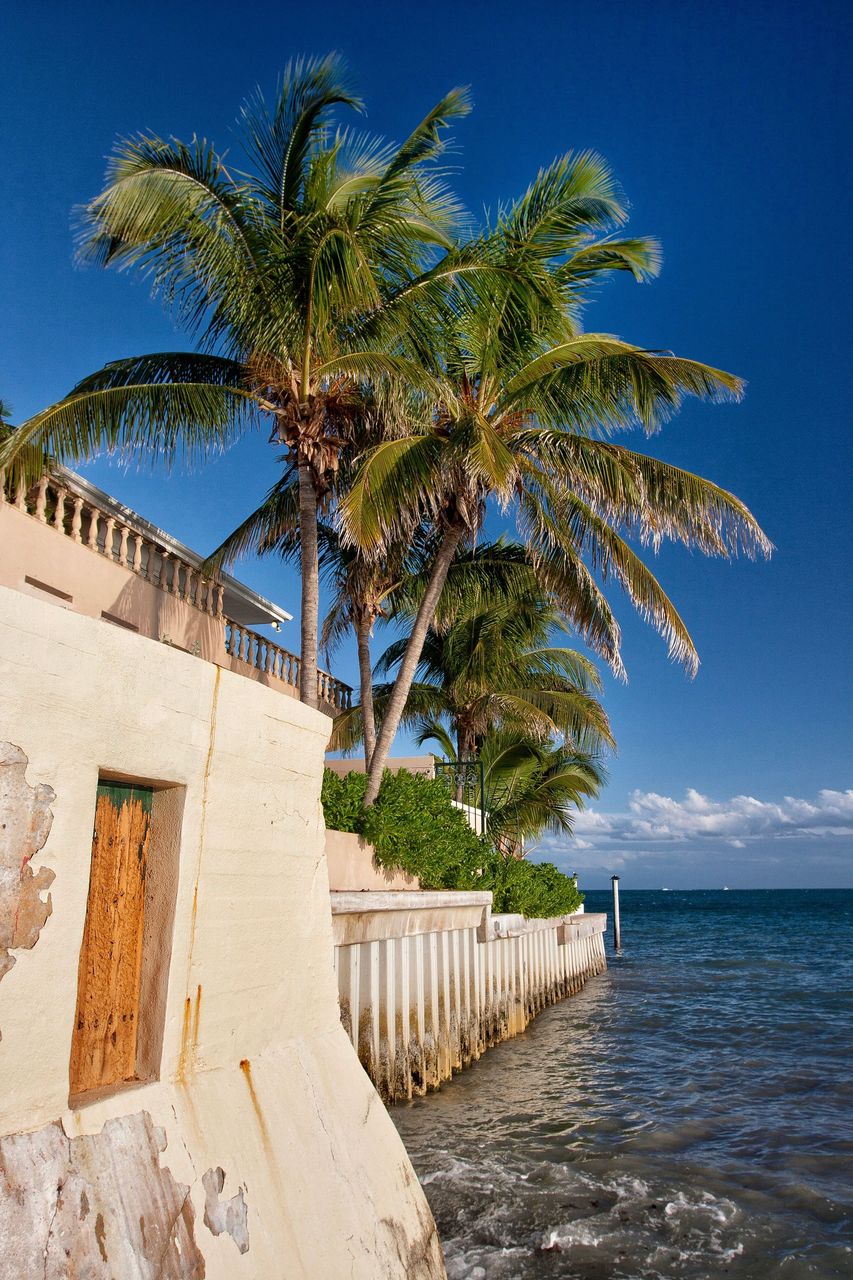 Palm-lined Fort Lauderdale seawall and waterfront home